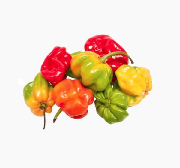 Piment / lbs