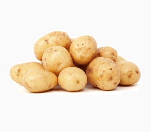 Pomme de terre / lbs