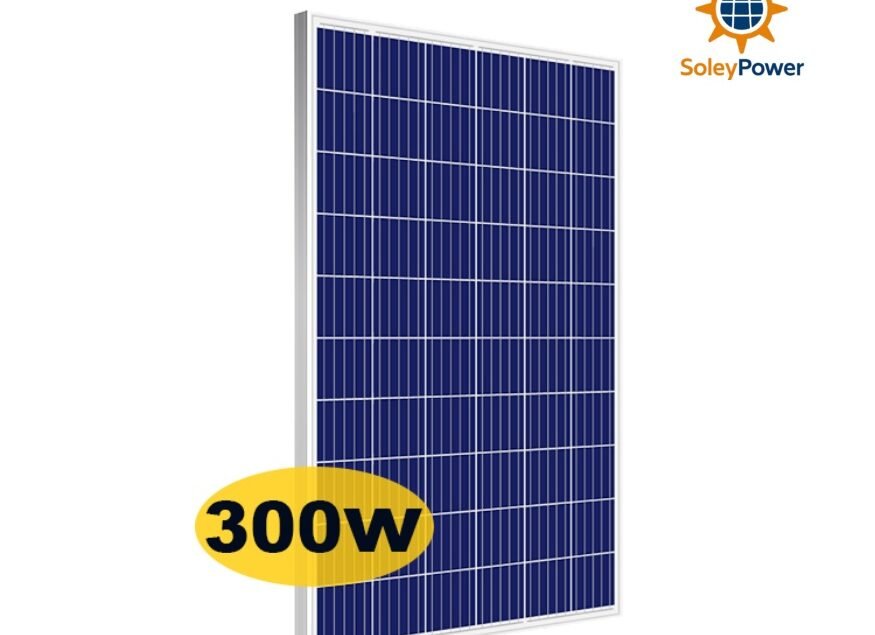 300w