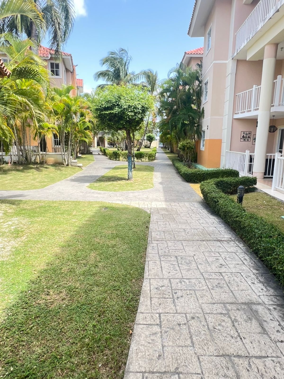 WhatsApp Image 2025-08-22 at 00.14.20 (1)